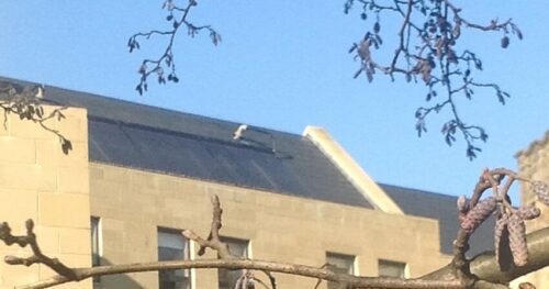 Solar Thermal