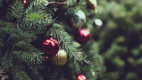 Kimptons Christmas Opening Times