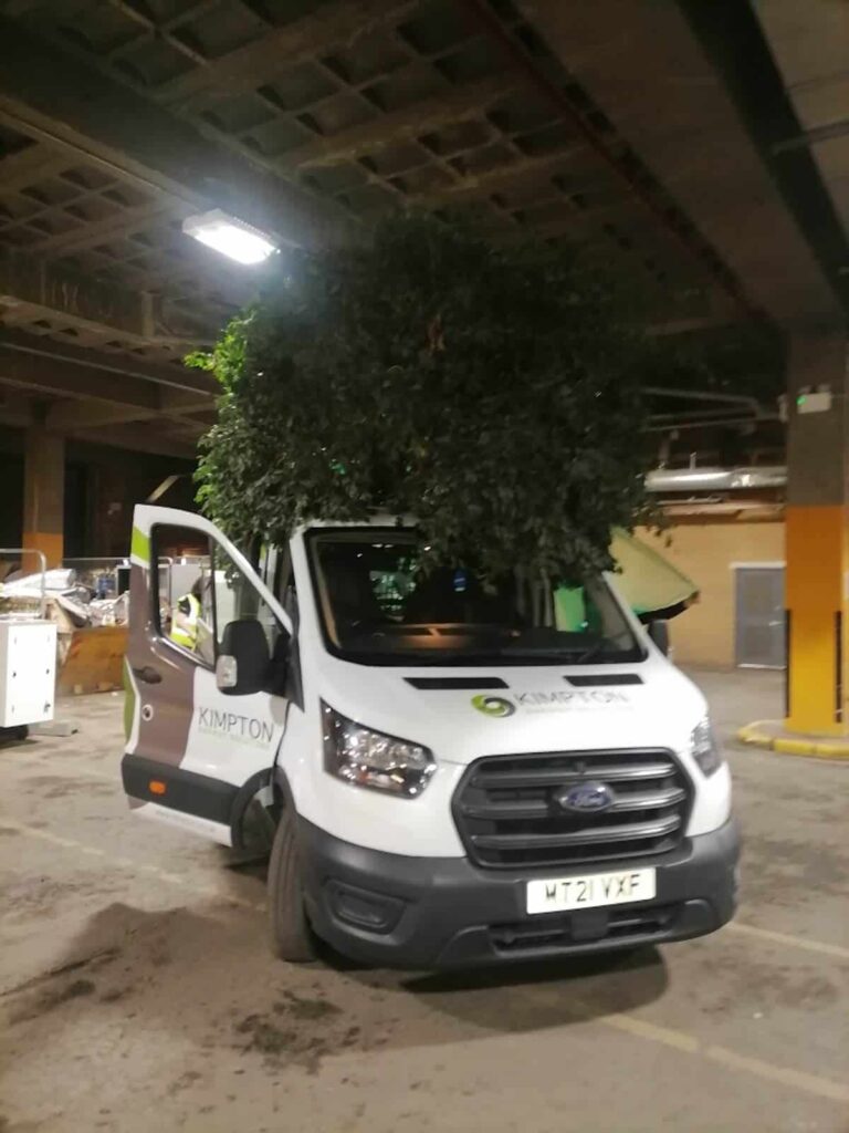 Trees loaded underneath the Capital Building