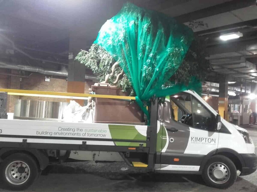 The trees begin their journey