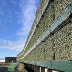 Close up of the acoustic living wall before the plant growth really starts