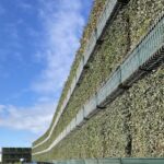 Close up of the acoustic living wall before the plant growth really starts