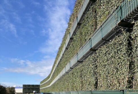 Close up of the acoustic living wall before the plant growth really starts