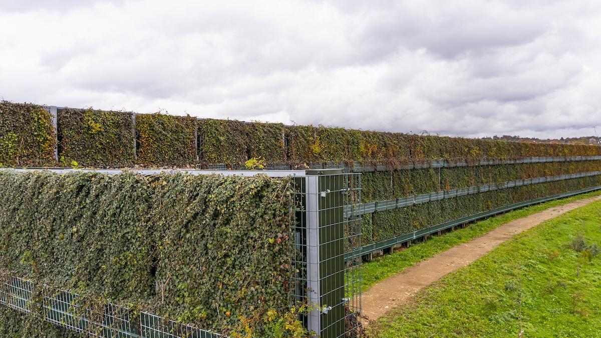 Kimpton acoustic living wall at Cricklewood 2