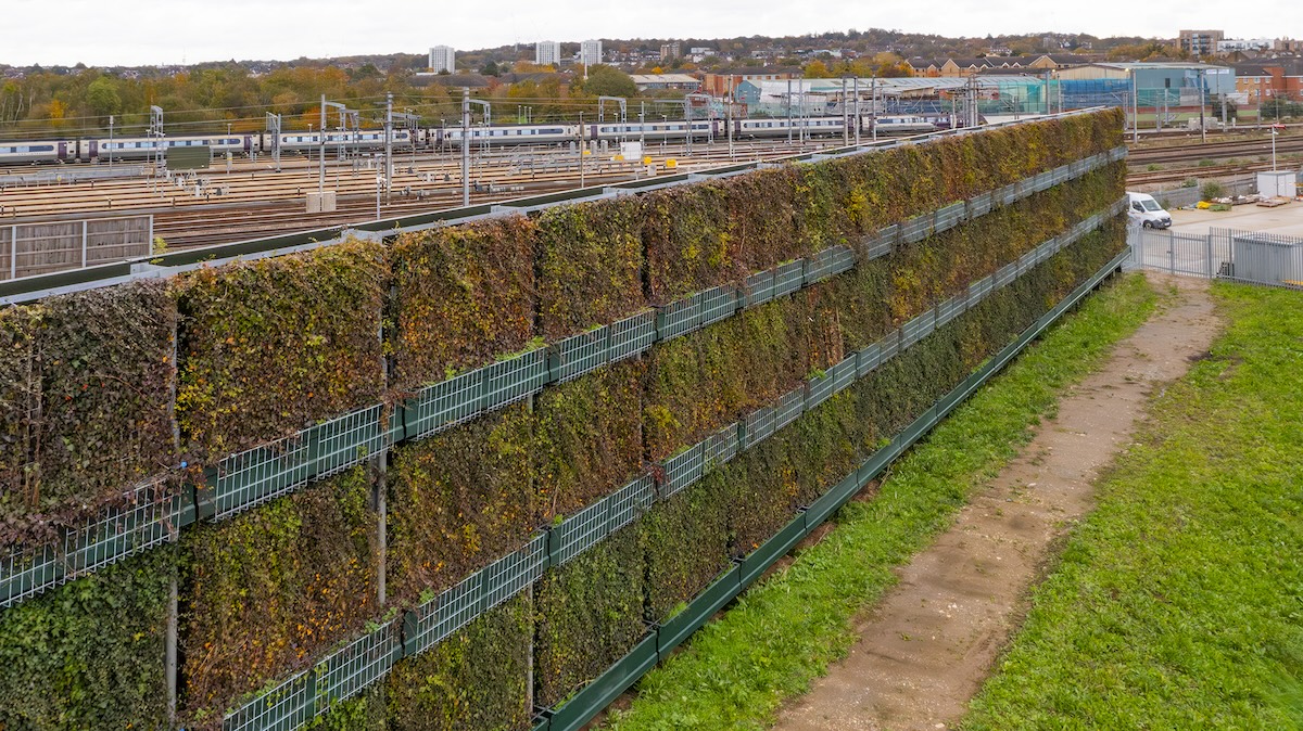 Kimpton acoustic living wall at Cricklewood