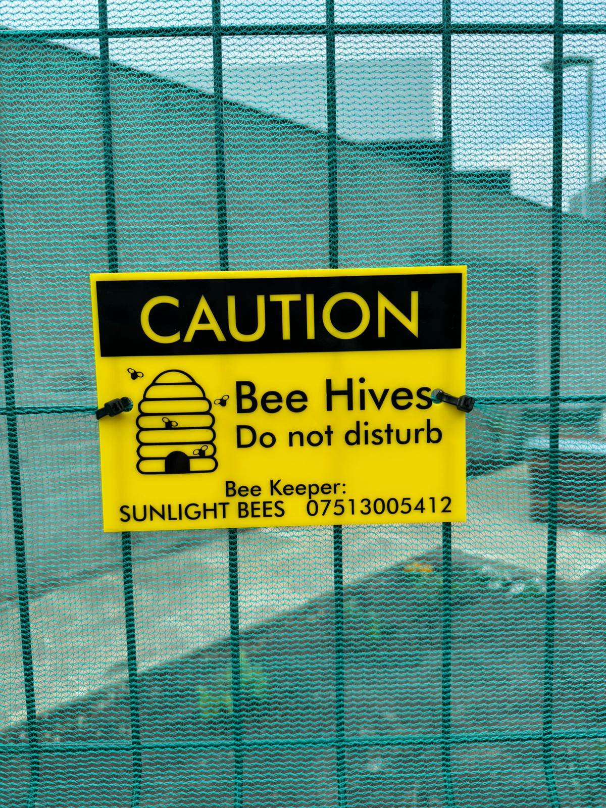Caution Beehives at ACC Arena with Kimpton