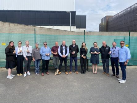 Staff from ACC Liverpool, Sunlight Bees, Sodexo Live, Civils, AWS and Kimpton at the newly planted wildflower garden - World bee day 2024