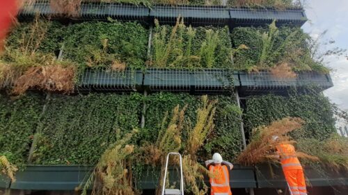 Acoustic Living Wall at DB Cargo